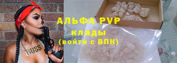 спиды Елизово