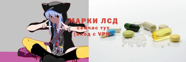 спиды Елизово