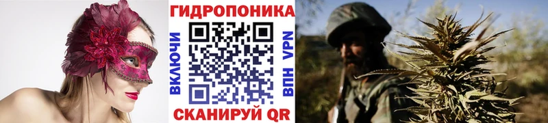 Бошки марихуана планчик Знаменск